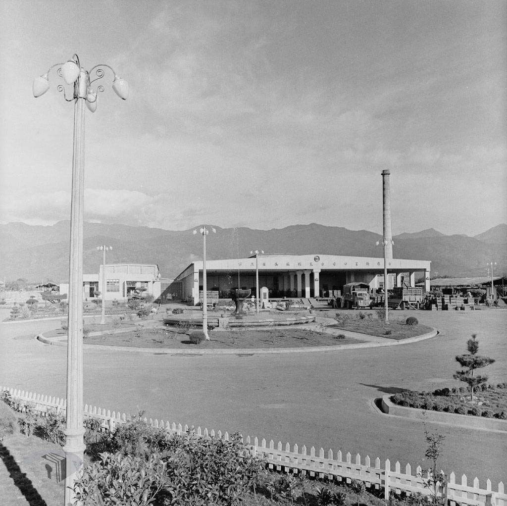 圖10 1960年台糖臺東鳳梨工廠