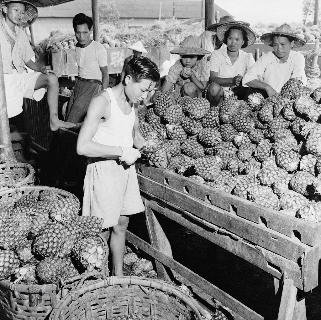 圖5 1950年代市場鳳梨販售情形