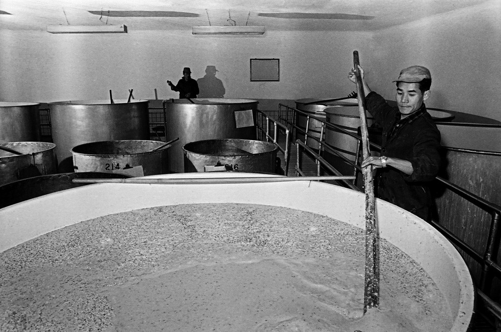 圖5 員工於釀酒發酵槽中翻攪拌麴(此舉稱為「翻槽」)