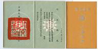 民國41年公務護照
