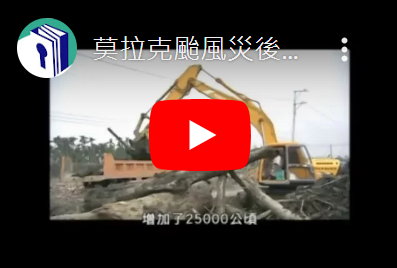莫拉克颱風災後漂流木清理作業