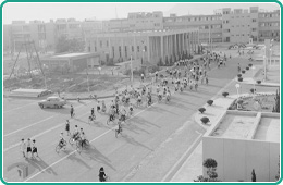 圖5 高雄加工出口區內外景