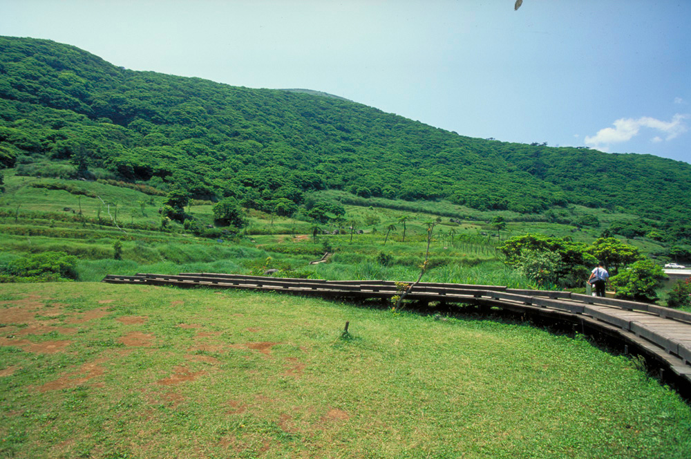 圖11 陽明山國家公園一景