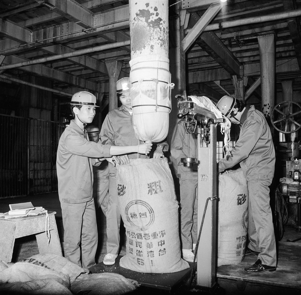 圖10 越南糖業技術人員學習運用機器分裝粗砂糖